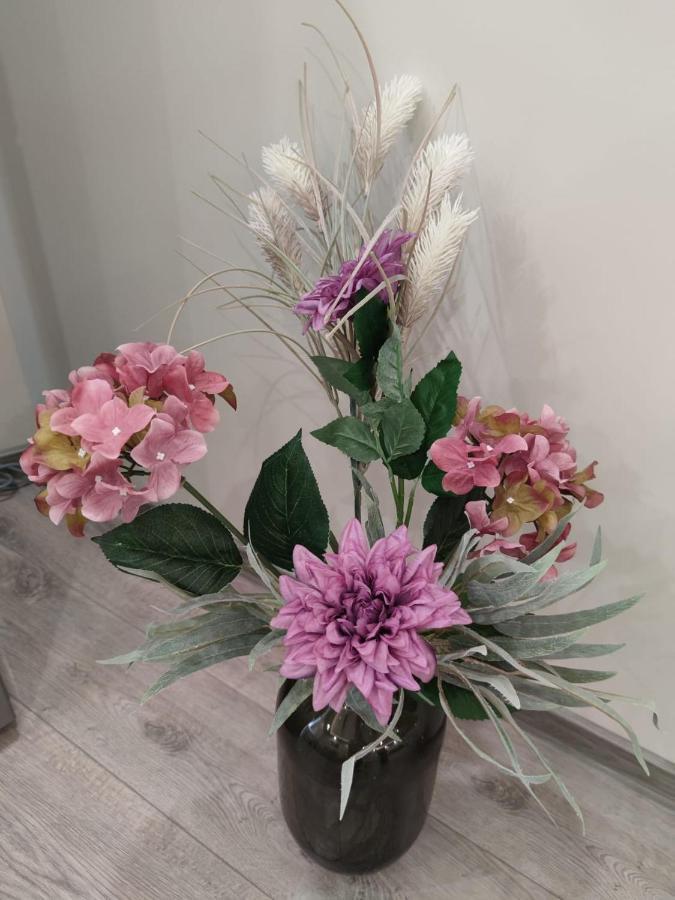 Flowers Apartment Dobrics Kültér fotó